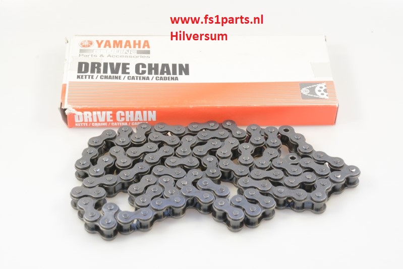 Chain 100 links Fs1 WP-0232